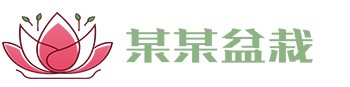 伟德·betvlctor(中国区)官方网站